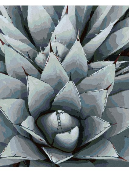 Diamantové maľovanie - KAKTUS AGAVE (Rámovanie bez rámu a bez vypnutia plátna, Rozmer 40x50 cm)