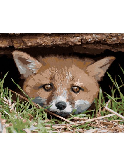 Diamantové maľovanie - LÍŠKA POD STROMOM (Rámovanie bez rámu a bez vypnutia plátna, Rozmer 40x50 cm)