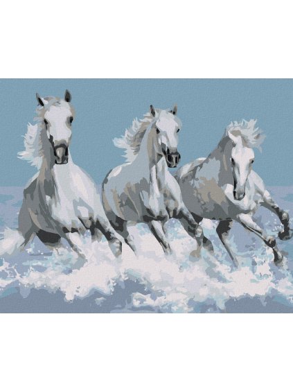 Diamantové maľovanie - BIELE KONE (Rámovanie bez rámu a bez vypnutia plátna, Rozmer 40x50 cm)