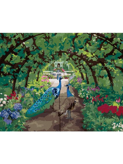 Diamantové maľovanie - ZAMILOVANÉ PÁVY (Rámovanie bez rámu a bez vypnutia plátna, Rozmer 40x50 cm)