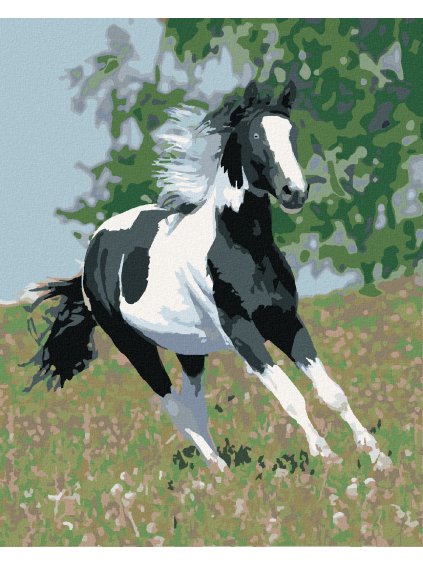 Diamantové maľovanie - BEŽIACI STRAKÁČ (Rámovanie bez rámu a bez vypnutia plátna, Rozmer 40x50 cm)