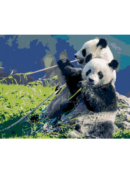 Diamantové maľovanie - PANDA A BAMBUS