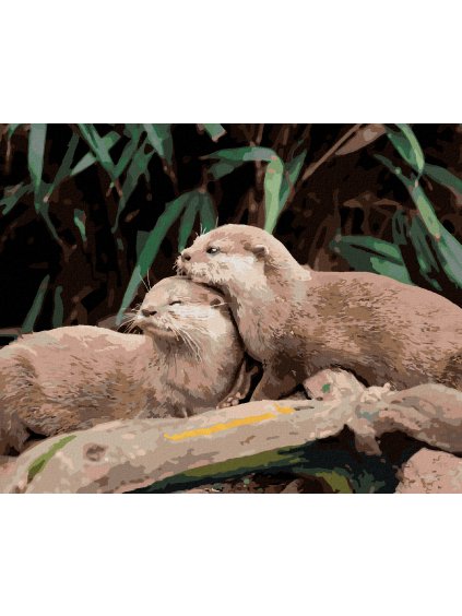 Diamantové maľovanie - VYDRY PRI VODE (Rámovanie bez rámu a bez vypnutia plátna, Rozmer 40x50 cm)