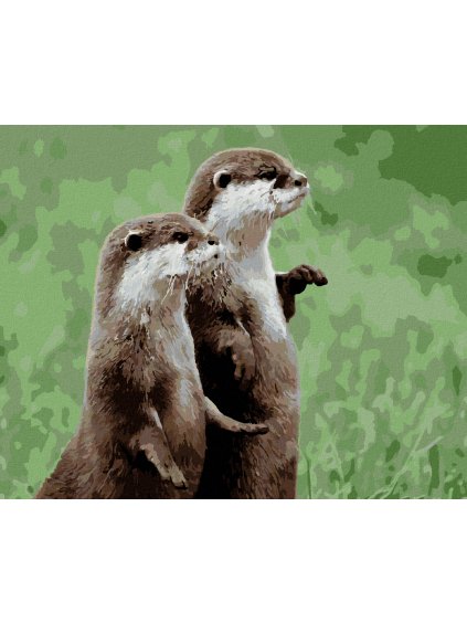 Diamantové maľovanie - DVE VYDRY (Rámovanie bez rámu a bez vypnutia plátna, Rozmer 40x50 cm)