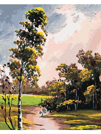 Diamantové maľovanie - LETNÁ KRAJINA S BREZOU A JAZIERKOM (Rámovanie bez rámu a bez vypnutia plátna, Rozmer 40x50 cm)