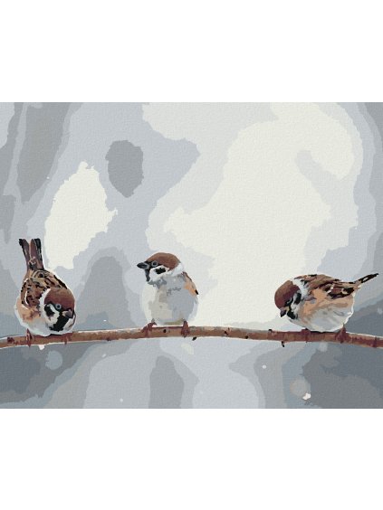 Diamantové maľovanie - MALÉ VTÁČIKY NA KONÁRI (Rámovanie bez rámu a bez vypnutia plátna, Rozmer 40x50 cm)