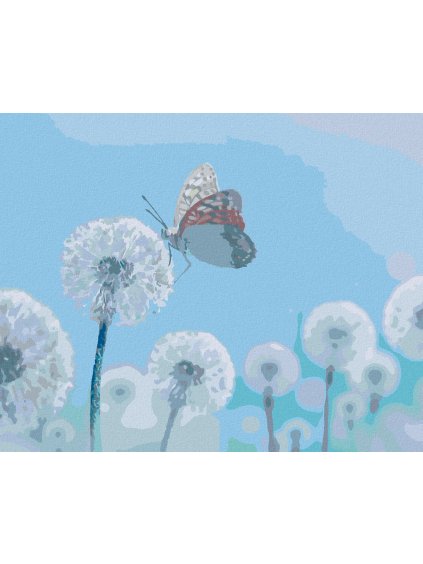 Diamantové maľovanie - BIELE PÚPAVY S MOTÝĽOM (Rámovanie bez rámu a bez vypnutia plátna, Rozmer 40x50 cm)