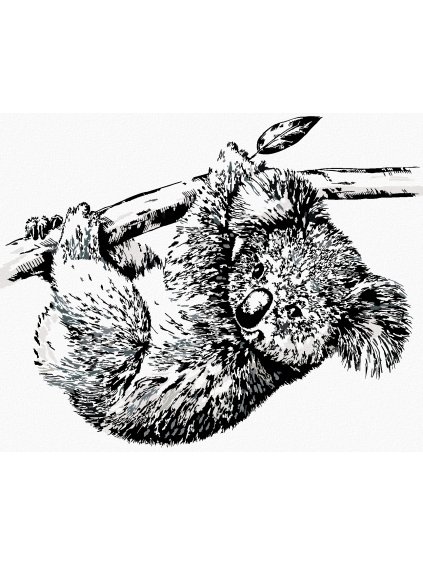 Diamantové maľovanie - ČIERNOBIELA KOALA (Rámovanie bez rámu a bez vypnutia plátna, Rozmer 40x50 cm)