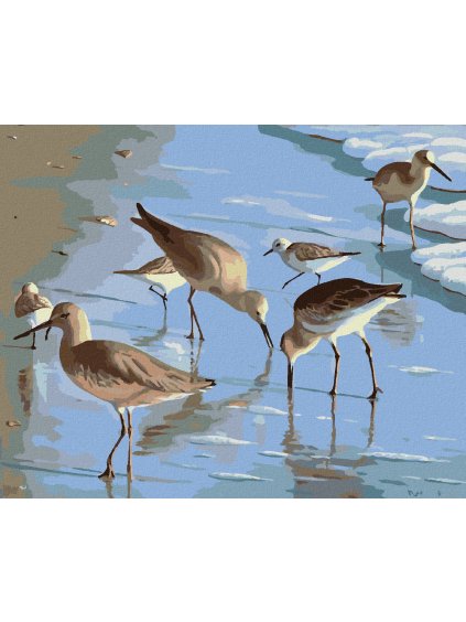 Diamantové maľovanie - ČAJKY NA PLÁŽI (ROBERT JOHNSON) (Rámovanie bez rámu a bez vypnutia plátna, Rozmer 40x50 cm)
