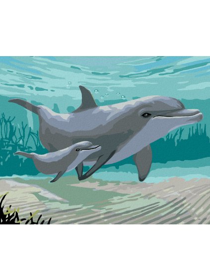 Diamantové maľovanie - DELFÍNY (ROBERT JOHNSON) (Rámovanie bez rámu a bez vypnutia plátna, Rozmer 40x50 cm)