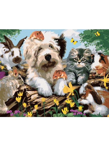 Diamantové maľovanie - PES, MAČKA A HLODAVCE NA PNI (HOWARD ROBINSON) (Rámovanie bez rámu a bez vypnutia plátna, Rozmer 40x50 cm)