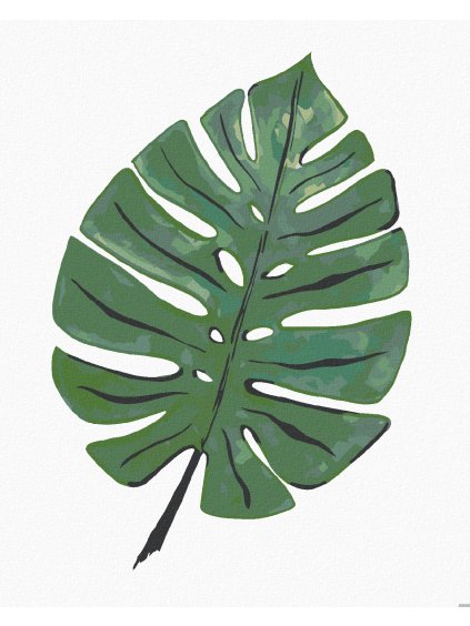 Diamantové maľovanie - LIST MONSTERA (ALEXANDRIA GILBERT) (Rámovanie bez rámu a bez vypnutia plátna, Rozmer 40x50 cm)