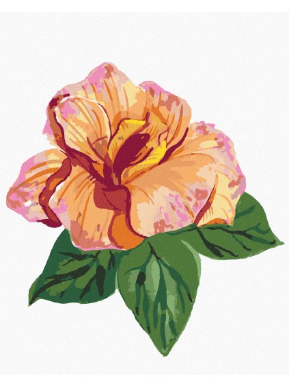 Diamantové maľovanie - KVET IBIŠTEKA (ALEXANDRIA GILBERT) (Rámovanie bez rámu a bez vypnutia plátna, Rozmer 40x50 cm)