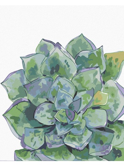 Diamantové maľovanie - SUKULENT (ALEXANDRIA GILBERT) (Rámovanie bez rámu a bez vypnutia plátna, Rozmer 40x50 cm)