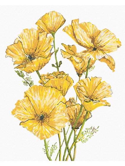 Diamantové maľovanie - ŽLTÉ VLČIE MAKY (ALEXANDRIA GILBERT) (Rámovanie bez rámu a bez vypnutia plátna, Rozmer 40x50 cm)