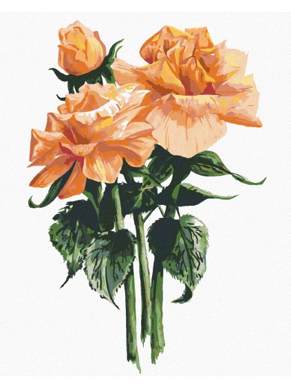 Diamantové maľovanie - ORANŽOVÉ RUŽE (ALEXANDRIA GILBERT) (Rámovanie bez rámu a bez vypnutia plátna, Rozmer 40x50 cm)