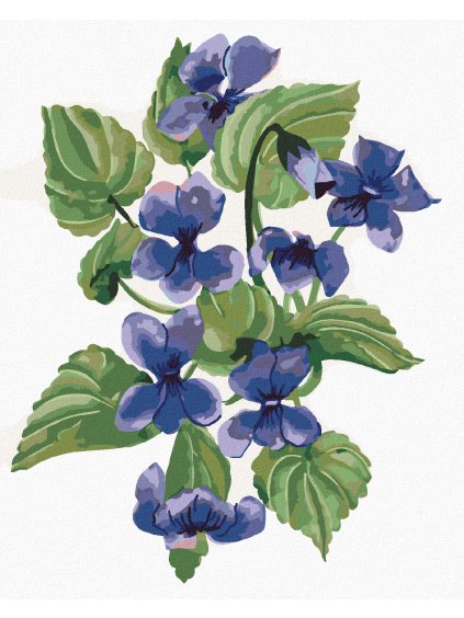 Diamantové maľovanie - FIALKY (ALEXANDRIA GILBERT) (Rámovanie bez rámu a bez vypnutia plátna, Rozmer 40x50 cm)