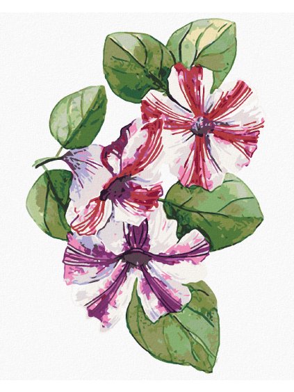 Diamantové maľovanie - JARNÉ PETÚNIE (ALEXANDRIA GILBERT) (Rámovanie bez rámu a bez vypnutia plátna, Rozmer 40x50 cm)