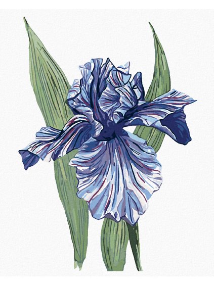 Diamantové maľovanie - JEDEN FIALOVÝ KOSATEC (ALEXANDRIA GILBERT) (Rámovanie bez rámu a bez vypnutia plátna, Rozmer 40x50 cm)