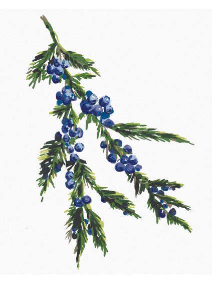 Diamantové maľovanie - VETVA JALOVCA (ALEXANDRIA GILBERT) (Rámovanie bez rámu a bez vypnutia plátna, Rozmer 40x50 cm)