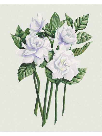 Diamantové maľovanie - BIELE KVETY GARDÉNIE (ALEXANDRIA GILBERT) (Rámovanie bez rámu a bez vypnutia plátna, Rozmer 40x50 cm)