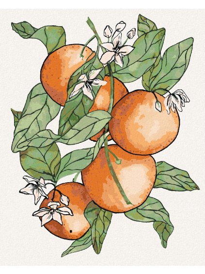 Diamantové maľovanie - VETVA A POMARANČE (ALEXANDRIA GILBERT) (Rámovanie bez rámu a bez vypnutia plátna, Rozmer 40x50 cm)