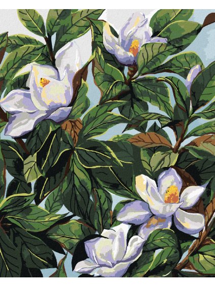 Diamantové maľovanie - BIELE KVETY MAGNÓLIE A LISTY (ALEXANDRIA GILBERT) (Rámovanie bez rámu a bez vypnutia plátna, Rozmer 40x50 cm)