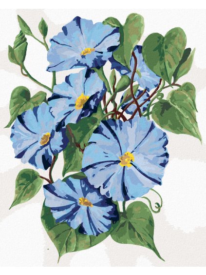 Diamantové maľovanie - MODRÉ KVETY POVÍJNICE (ALEXANDRIA GILBERT) (Rámovanie bez rámu a bez vypnutia plátna, Rozmer 40x50 cm)