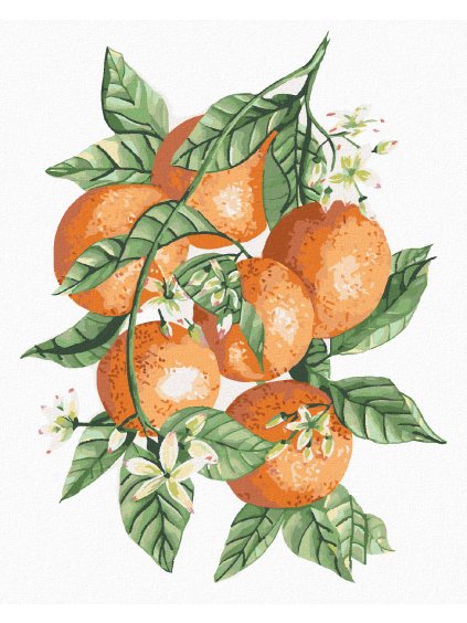 Diamantové maľovanie - POMARANČE NA VETVÁCH (ALEXANDRIA GILBERT) (Rámovanie bez rámu a bez vypnutia plátna, Rozmer 40x50 cm)