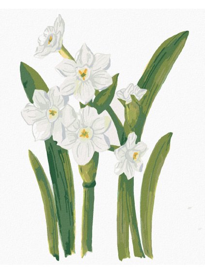 Diamantové maľovanie - BIELE NARCISY (ALEXANDRIA GILBERT) (Rámovanie bez rámu a bez vypnutia plátna, Rozmer 40x50 cm)