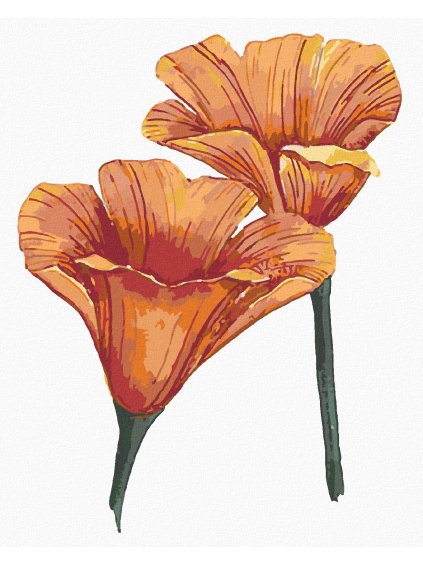 Diamantové maľovanie - KALIFORNSKÉ VLČIE MAKY (ALEXANDRIA GILBERT) (Rámovanie bez rámu a bez vypnutia plátna, Rozmer 40x50 cm)