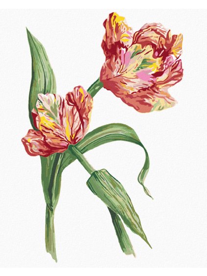 Diamantové maľovanie - TULIPÁN (ALEXANDRIA GILBERT) (Rámovanie bez rámu a bez vypnutia plátna, Rozmer 40x50 cm)