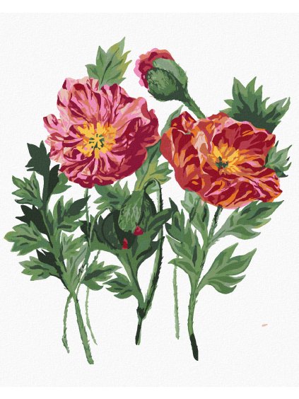 Diamantové maľovanie - VLČIE MAKY (ALEXANDRIA GILBERT) (Rámovanie bez rámu a bez vypnutia plátna, Rozmer 40x50 cm)