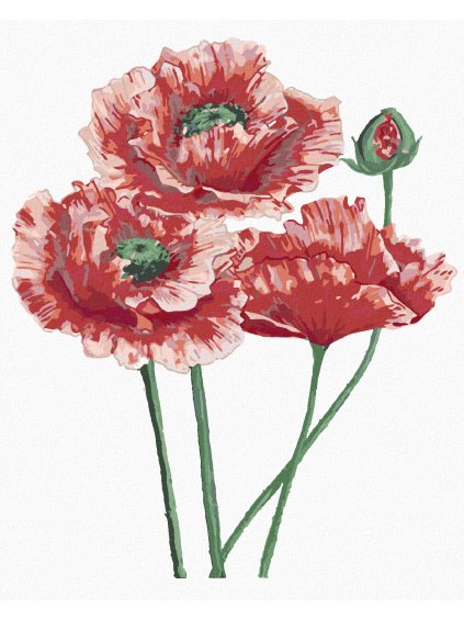 Diamantové maľovanie - VLČÍ MÁK TRI KVETY (ALEXANDRIA GILBERT) (Rámovanie bez rámu a bez vypnutia plátna, Rozmer 40x50 cm)