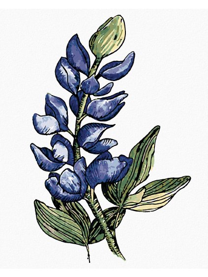 Diamantové maľovanie - KVET VLČIEHO BÔBU (ALEXANDRIA GILBERT) (Rámovanie bez rámu a bez vypnutia plátna, Rozmer 40x50 cm)