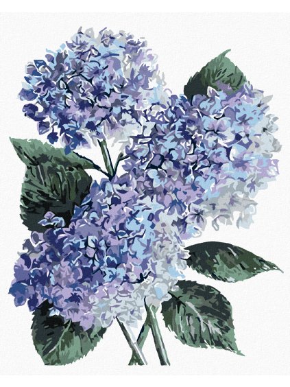 Diamantové maľovanie - MODRÉ HORTENZIE(ALEXANDRIA GILBERT) (Rámovanie bez rámu a bez vypnutia plátna, Rozmer 40x50 cm)