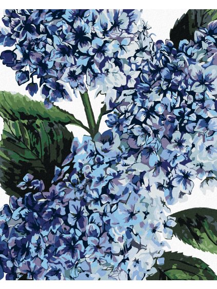 Diamantové maľovanie - HORTENZIA S MODRÝMI KVETMI (ALEXANDRIA GILBERT) (Rámovanie bez rámu a bez vypnutia plátna, Rozmer 40x50 cm)