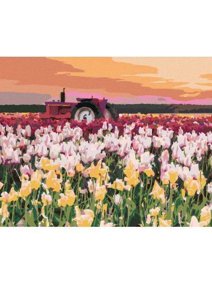 Diamantové maľovanie - TULIPÁNY NA POLI (TED DAVIS) (Rámovanie bez rámu a bez vypnutia plátna, Rozmer 40x50 cm)