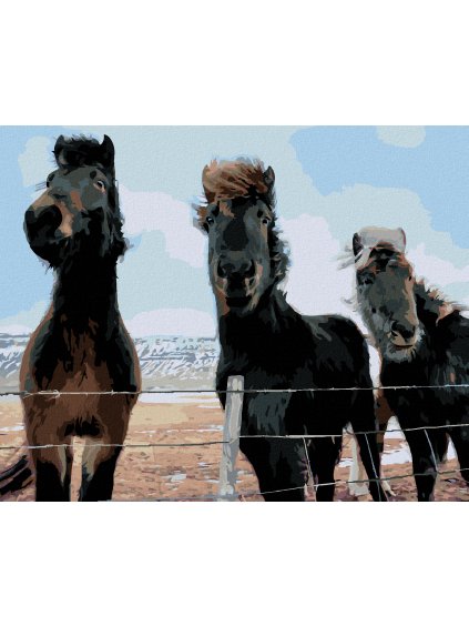 Diamantové maľovanie - TRI KONE (TED DAVIS) (Rámovanie bez rámu a bez vypnutia plátna, Rozmer 40x50 cm)