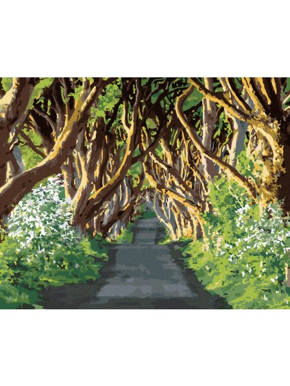 Diamantové maľovanie - CESTA OBKLOPENÁ STROMAMI (TED DAVIS) (Rámovanie bez rámu a bez vypnutia plátna, Rozmer 40x50 cm)