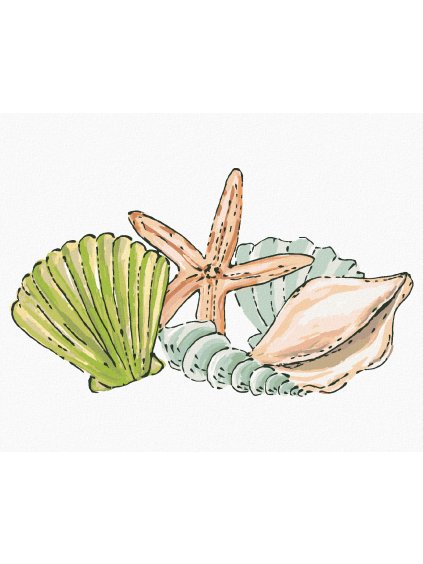 Diamantové maľovanie - MORSKÉ MUŠLE A HVIEZDICE (HALEY BUSH) (Rámovanie bez rámu a bez vypnutia plátna, Rozmer 40x50 cm)