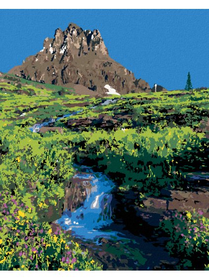 Diamantové maľovanie - HORA A RIEKA MEDZI KVETMI (TED DAVIS) (Rámovanie bez rámu a bez vypnutia plátna, Rozmer 40x50 cm)