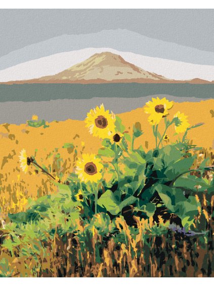Diamantové maľovanie - SLNEČNICA PRED HOROU, USA (TED DAVIS) (Rámovanie bez rámu a bez vypnutia plátna, Rozmer 40x50 cm)
