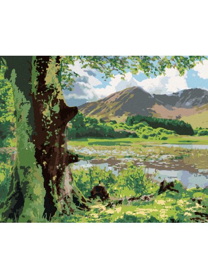 Diamantové maľovanie - PRÍRODA A HORY, ÍRSKO (TED DAVIS) (Rámovanie bez rámu a bez vypnutia plátna, Rozmer 40x50 cm)