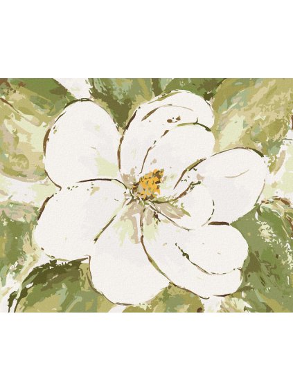 Diamantové maľovanie - BIELA MAGNÓLIA (HALEY BUSH) (Rámovanie bez rámu a bez vypnutia plátna, Rozmer 40x50 cm)