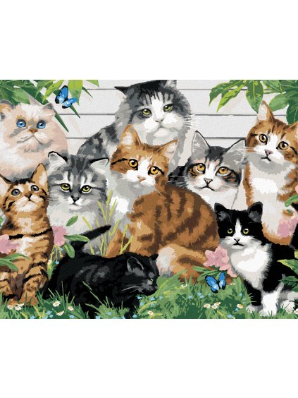 Diamantové maľovanie - RÔZNOFAREBNÉ MAČKY PRED DOMOM (HOWARD ROBINSON) (Rámovanie bez rámu a bez vypnutia plátna, Rozmer 40x50 cm)