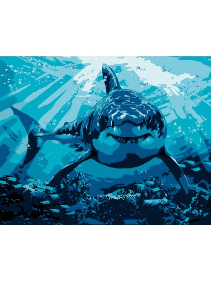 Diamantové maľovanie - ŽRALOK BIELÝ (HOWARD ROBINSON) (Rámovanie bez rámu a bez vypnutia plátna, Rozmer 40x50 cm)