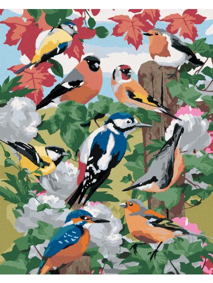 Diamantové maľovanie - VTÁKY A BIELE KVETY (HOWARD ROBINSON) (Rámovanie bez rámu a bez vypnutia plátna, Rozmer 40x50 cm)