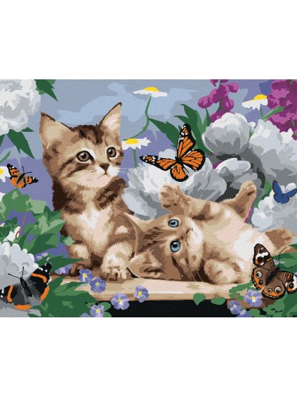 Diamantové maľovanie - MAČIATKA, MOTÝLE A PIVÓNIE (HOWARD ROBINSON) (Rámovanie bez rámu a bez vypnutia plátna, Rozmer 40x50 cm)
