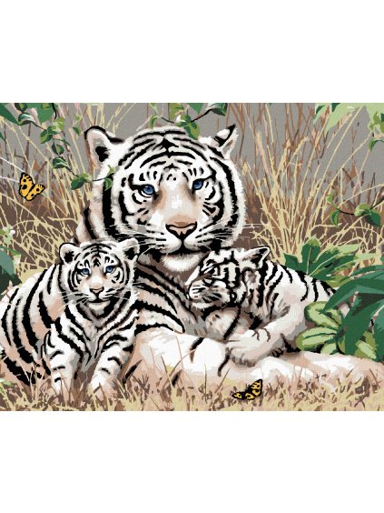 Diamantové maľovanie - BIELY TIGER A MLÁĎATÁ V TRÁVE (HOWARD ROBINSON) (Rámovanie bez rámu a bez vypnutia plátna, Rozmer 40x50 cm)
